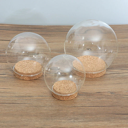Clear Glass Dome Cover with Wooden Base