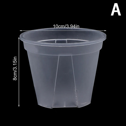 Clear Flower Pot with Tray
