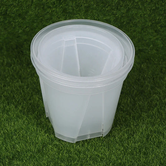 Clear Flower Pot with Tray