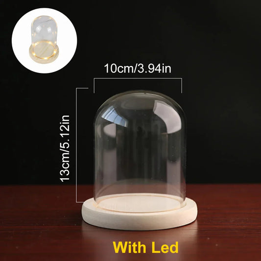 Clear Glass Dome Cloche with Wooden LED Lights Base