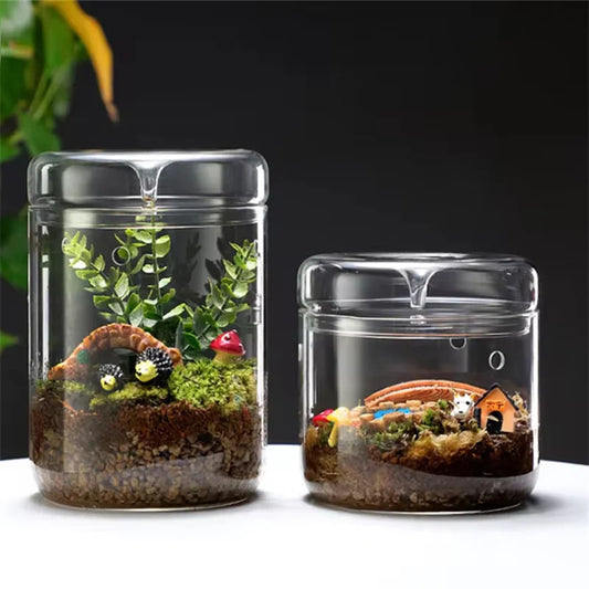 Creative Glass Dew Bottles