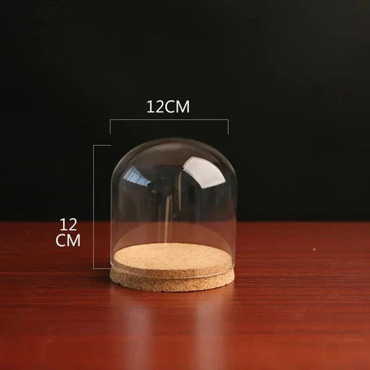 24pcs 12cm Clear Glass Terrarium Domes with Cork Base