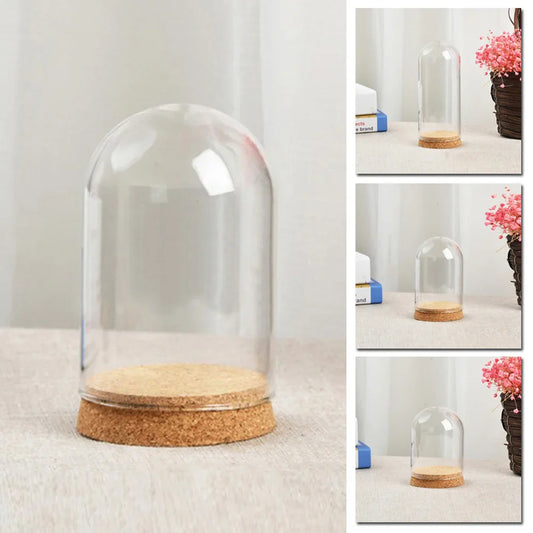 10–18cm Clear Glass Hemisphere Covers