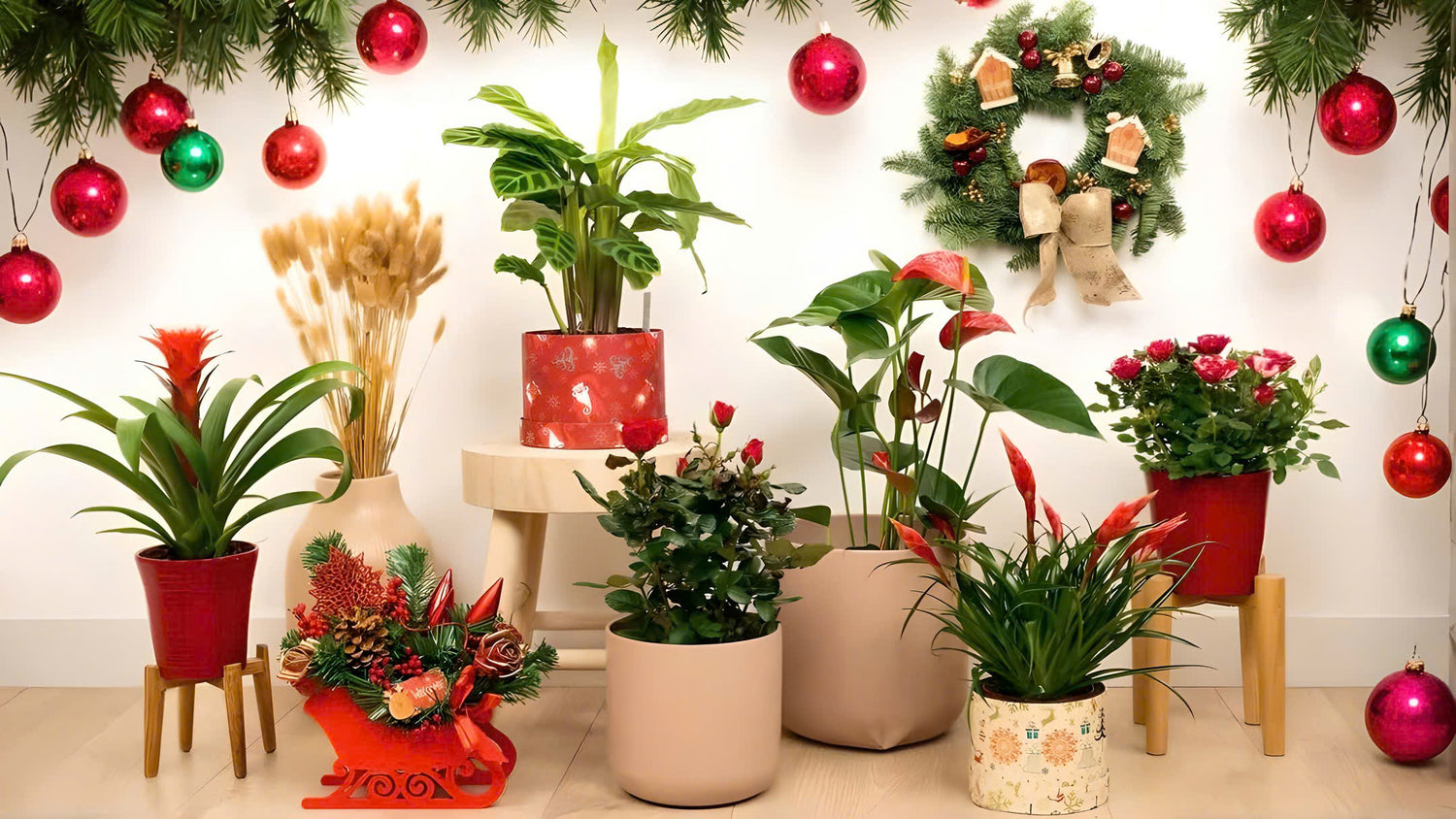 Decor & Gifts for Plant Lovers