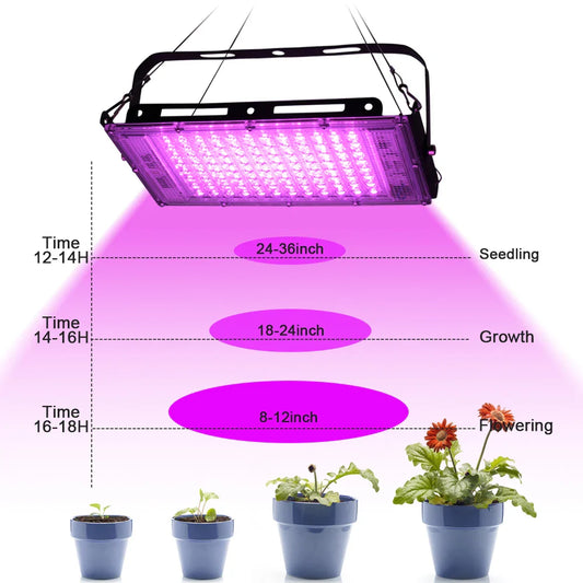 LED Grow Light