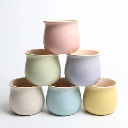 6-Color Simple Ceramic Planter