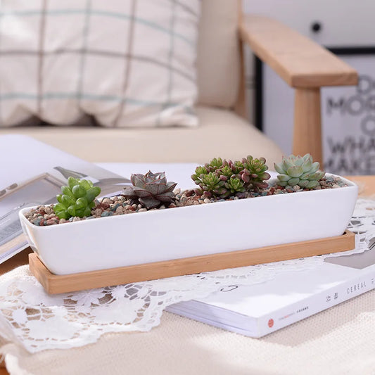 Long Rectangle White Ceramic Succulent Planter