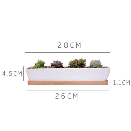 Long Rectangle White Ceramic Succulent Planter
