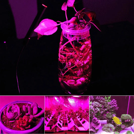 LED COB Grow Light