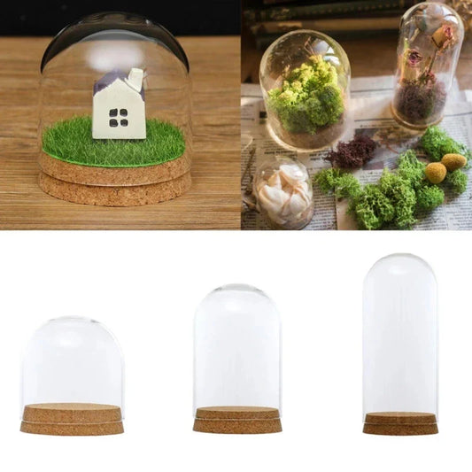 50pcs 8cm Clear Glass Dome Covers with Cork Base