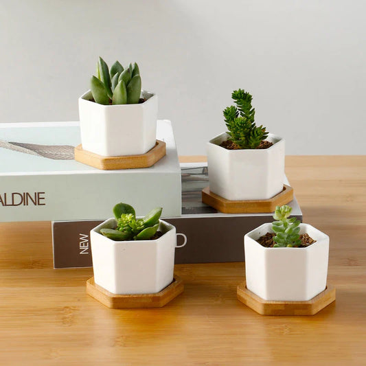 White Hexagon Ceramic Planter with Tray