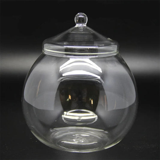 Micro Landscape Moss Ball Glass Vase with Lid