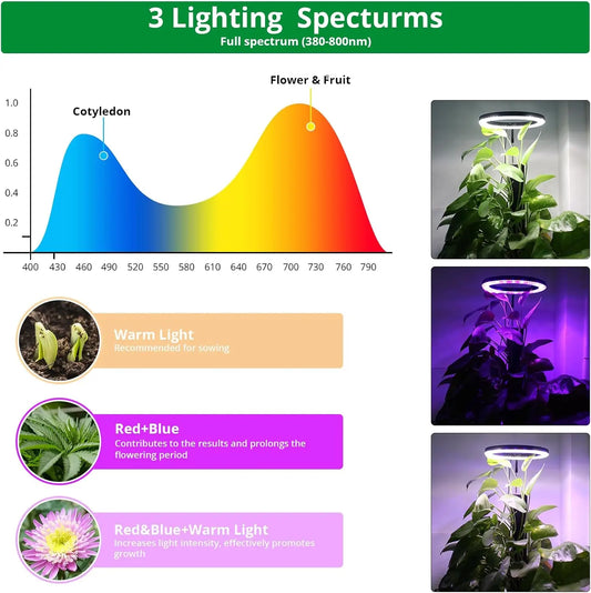 Grow Light