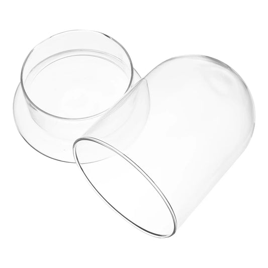 Micro Landscape Glass Dome Vase