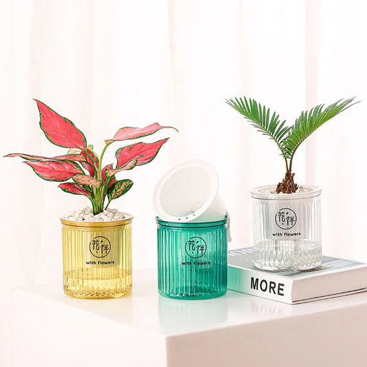 Lazy Self-Watering Flowerpot