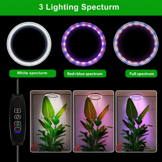 165cm Height Adjustable LED Ring Grow Light