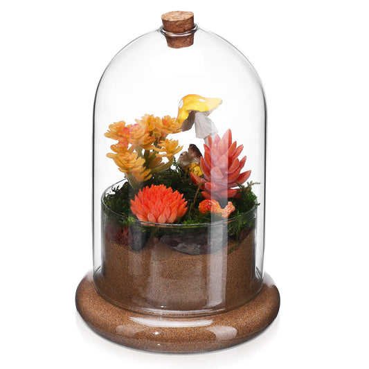 Clear Dome Glass Terrarium