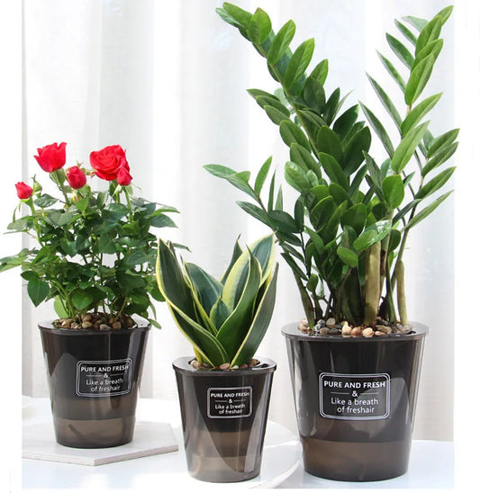 Automatic Self-Watering Flower Pot