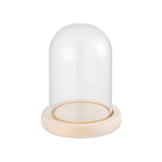 Micro Landscape Moss Glass Bottles