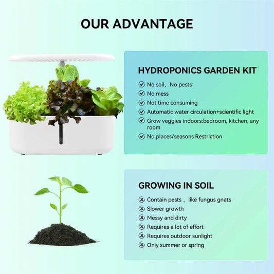 Indoor Hydroponics Growing System