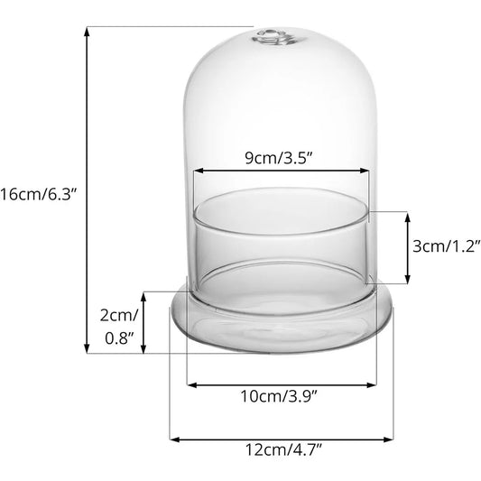 Glass Dome with Airhole