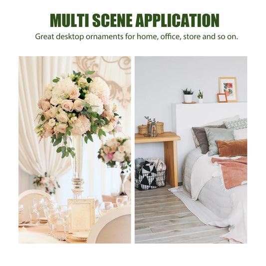 5 Sets Transparent Self-Watering Flower Pots