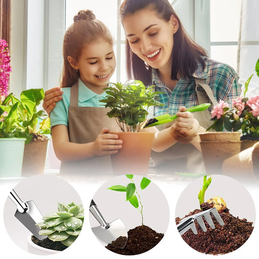 24-Piece Bonsai Tree Tool Set