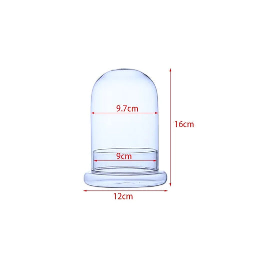 Clear Glass Dome with Air Vent