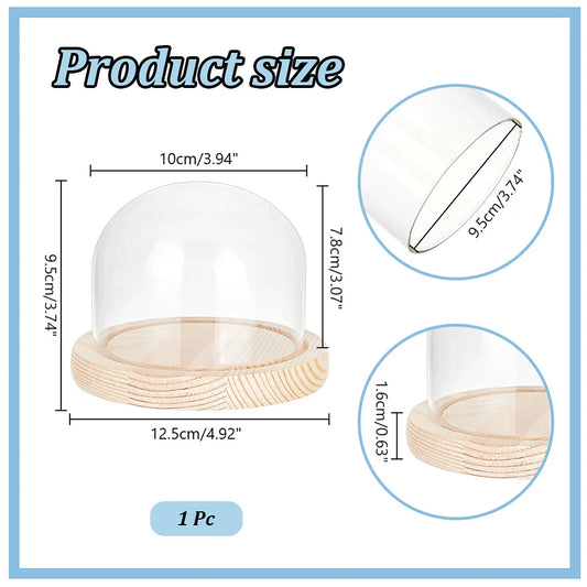 Glass Dome Display Case with White Wood Base