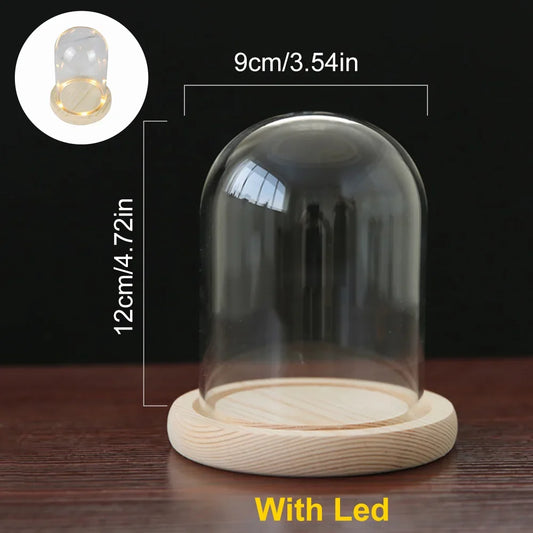 Glass Dome with Wooden Base & LED Light