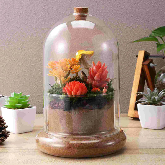 Clear Dome Glass Terrarium