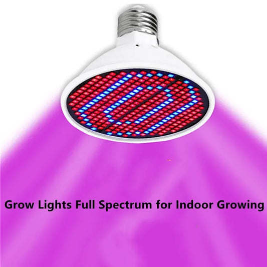 Phyto Lamp Full Spectrum 2835 LED Grow Light