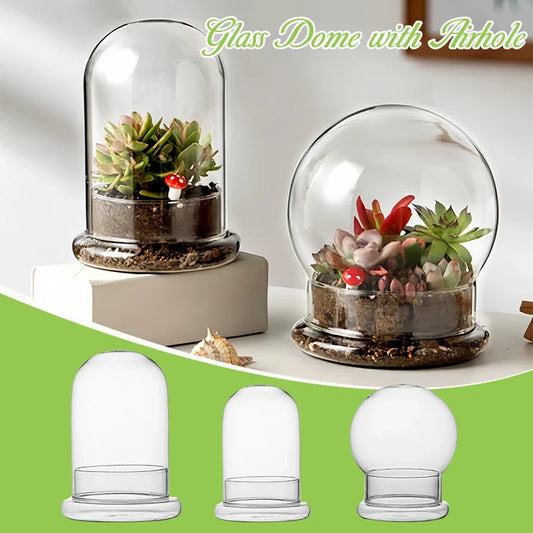 Multi-Sizes Glass Dome Vase with Airhole