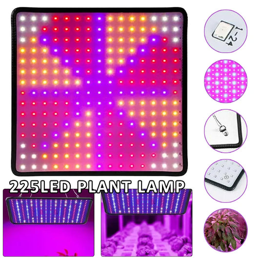 Full Spectrum LED Grow Light