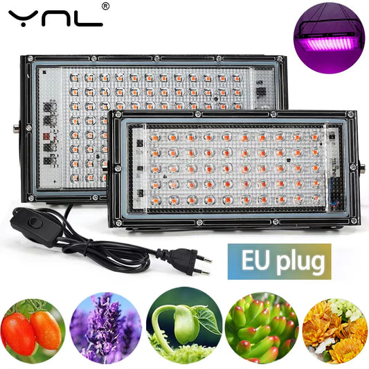 LED Grow Light