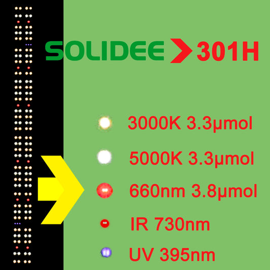 SOLIDEE Quick Spider L2