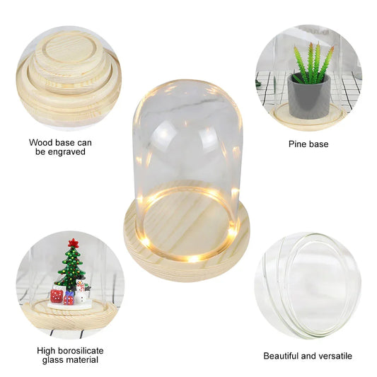 Glass Dome with Wooden Base & LED Light