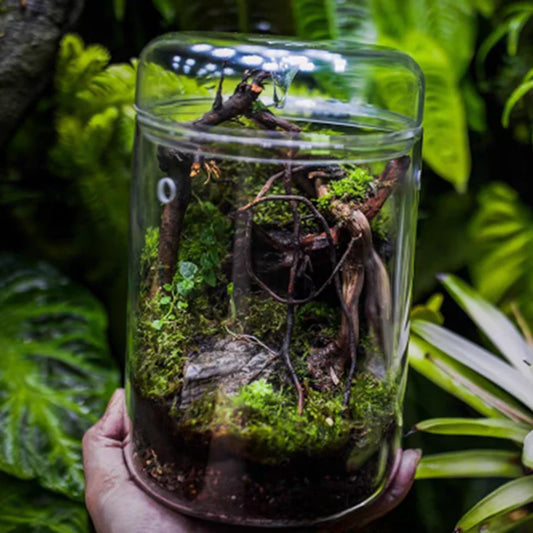 Micro Landscape Glass Bottles