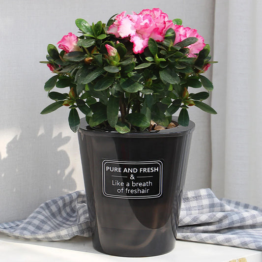 Automatic Self-Watering Flower Pot