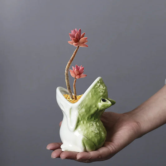 Cute Cartoon Frog Ceramic Succulent Planter