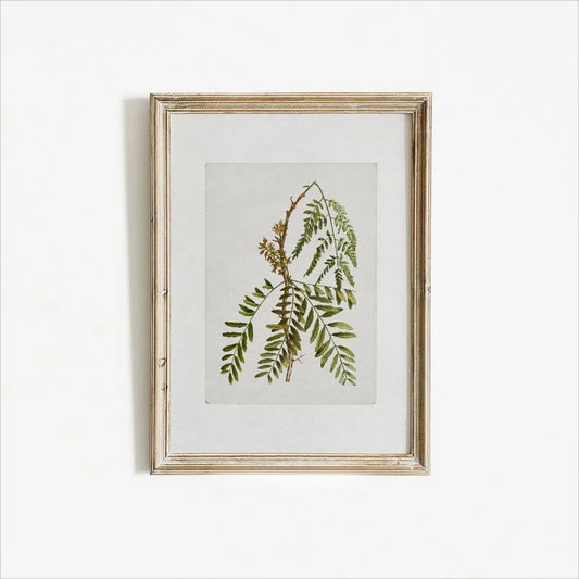 Vintage Botanical Wall Art