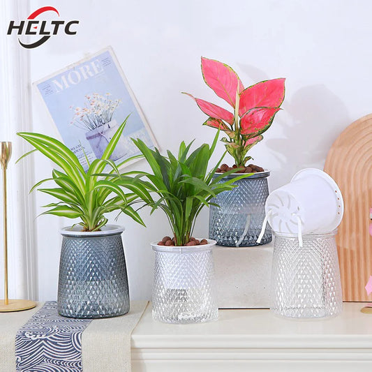 Self-Watering Transparent Plastic Plant Pot