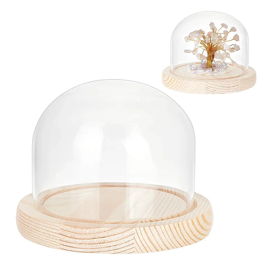 Glass Dome Display Case with White Wood Base