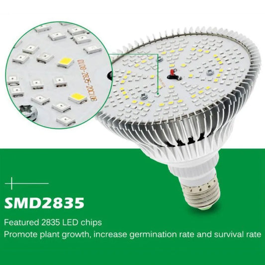 300W LED Grow Light Bulb