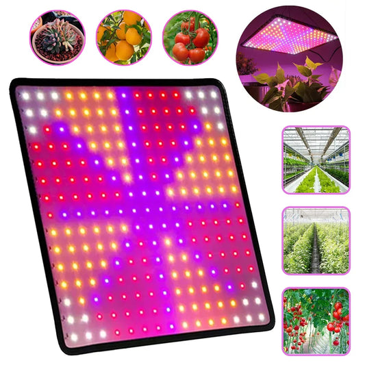 Full Spectrum LED Grow Light