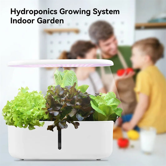 Indoor Hydroponics Growing System