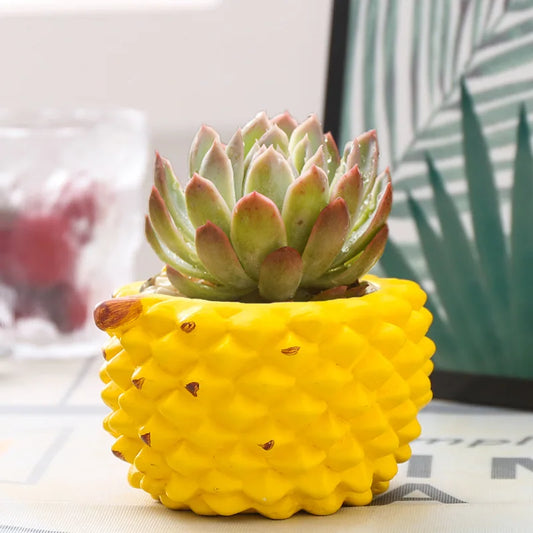 Handmade Ceramic Fruit Planter