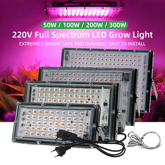Pink Full Spectrum Phyto LED Grow Light