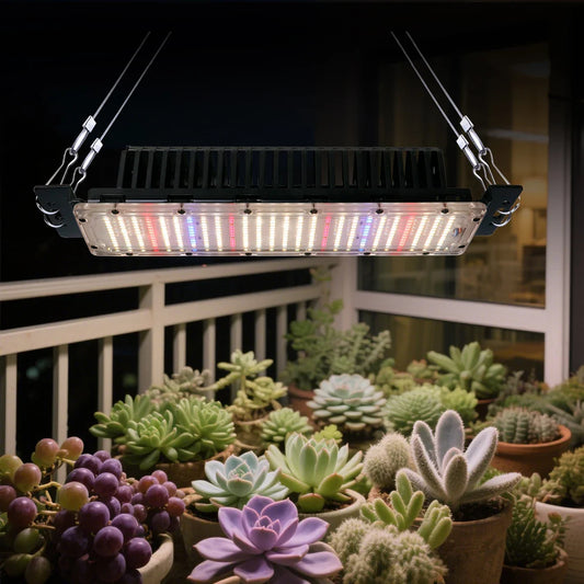 Newest 300W LED Quantum Grow Light