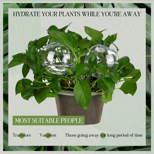 4Pcs Automatic Watering Globes